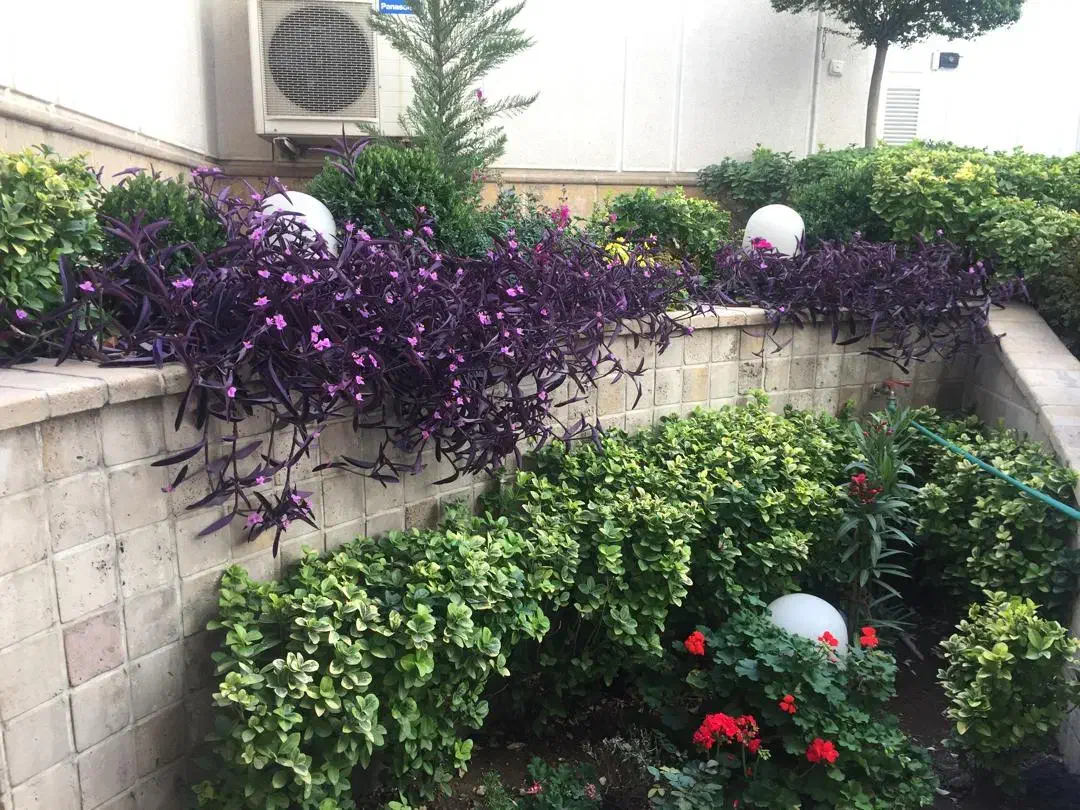 ۶۵۰متر مستغلات  ۲ طبقه ۶ خواب مستر ۵ پارکینگ