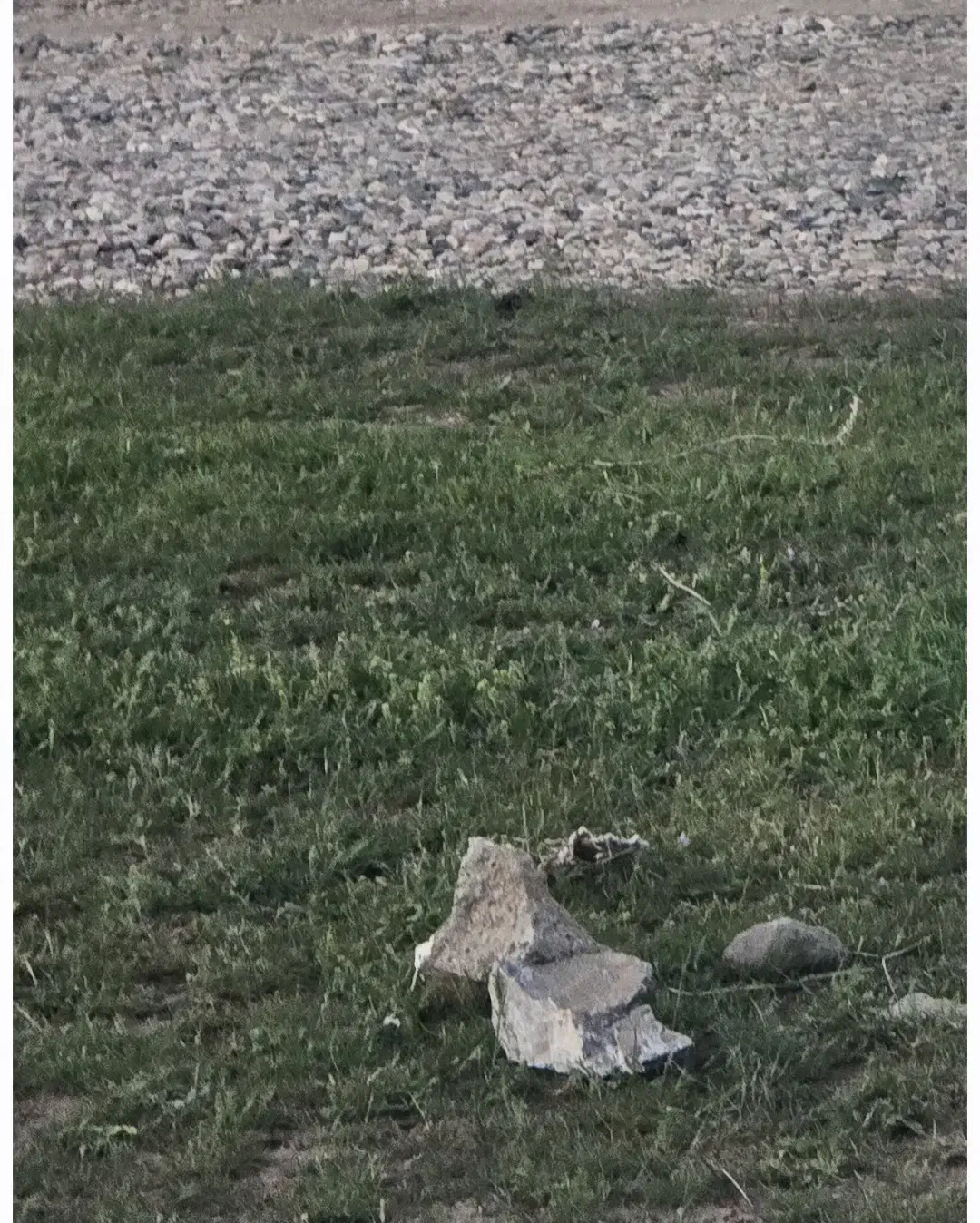 زمین مسکونی چسبیده به طرح|فروش زمین و ملک کلنگی|ماکو, |دیوار