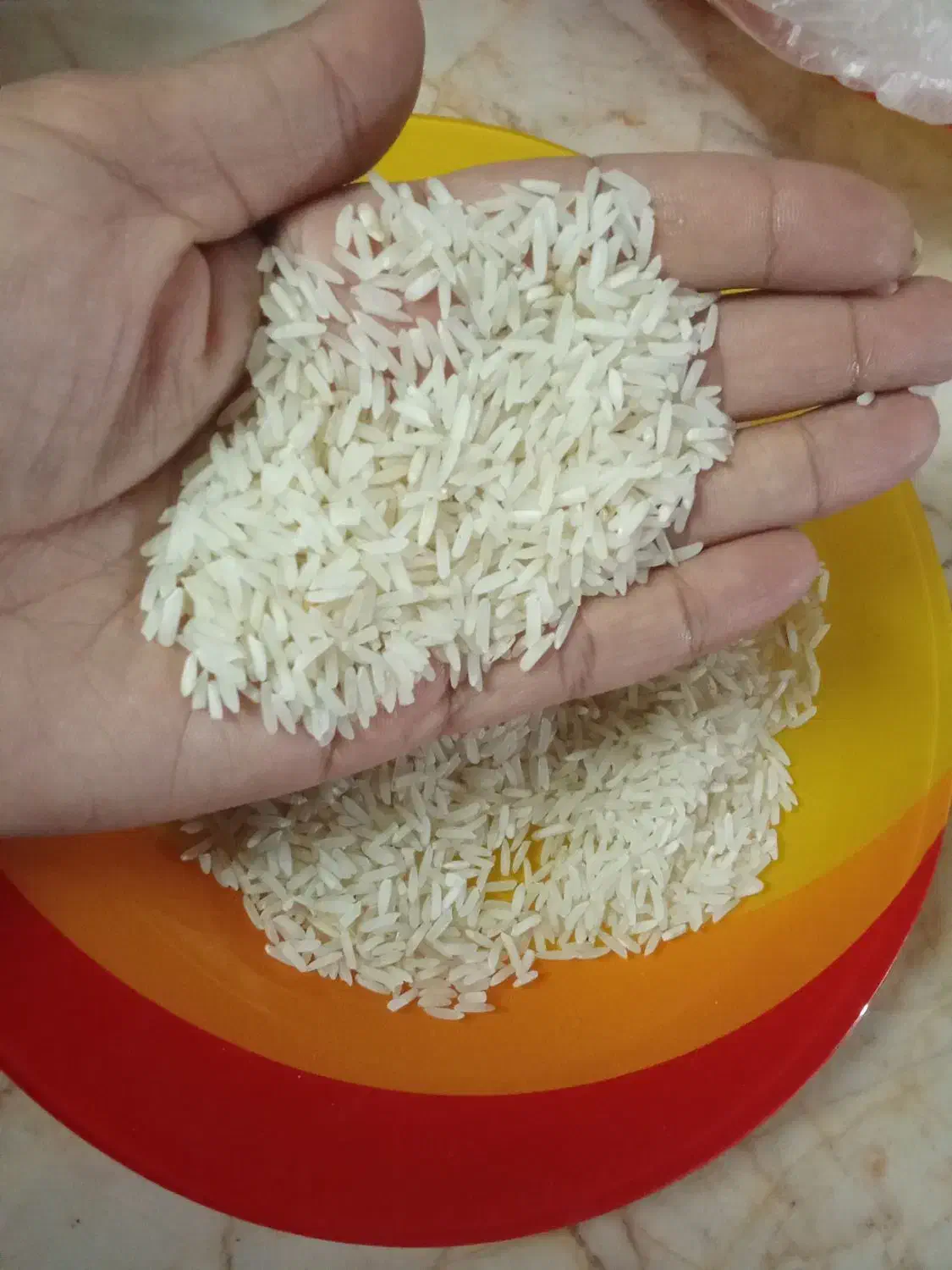 برنج شمال|خوردنی و آشامیدنی|مشهد, شهرک مهر آباد|دیوار