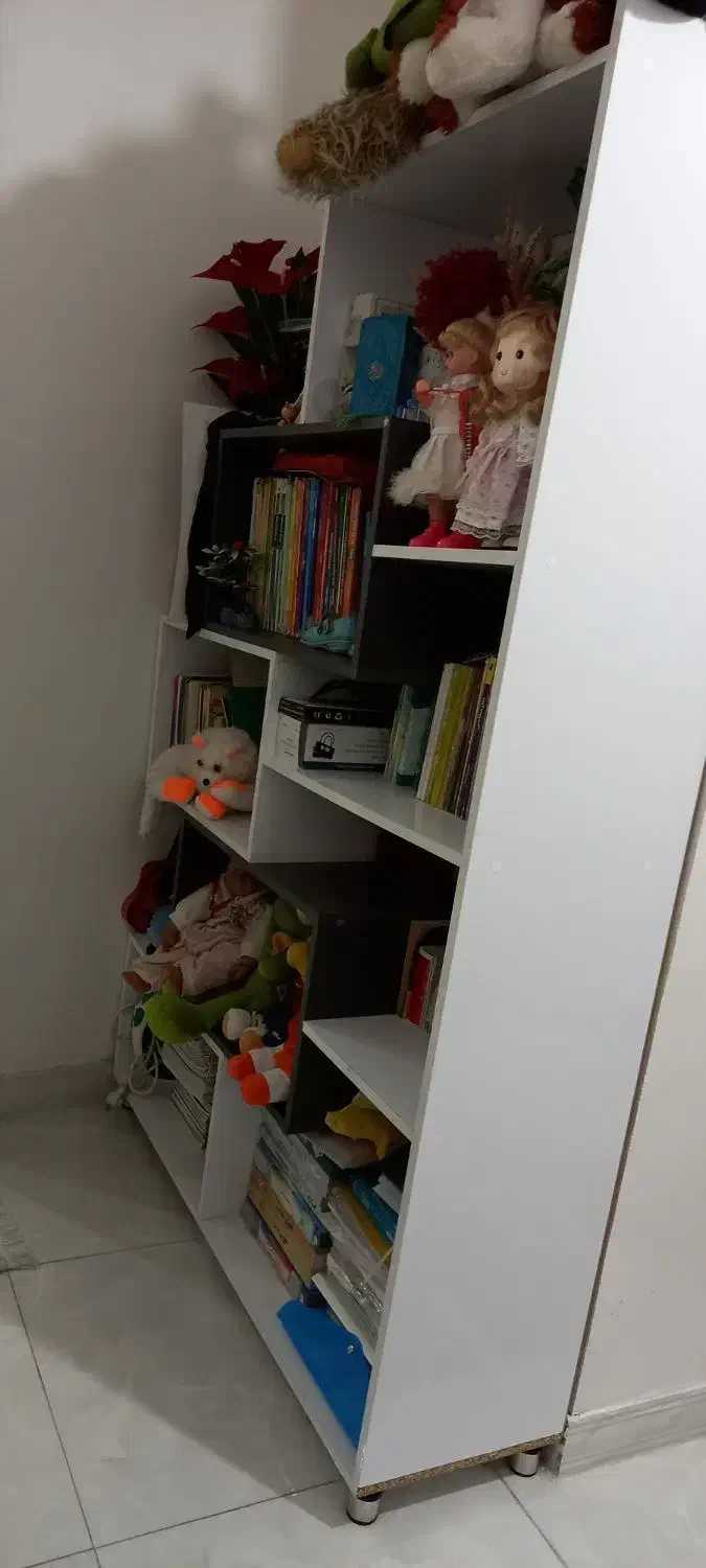 کتابخانه|کتابخانه، شلف، قفسه‌های دیواری|رشت, حسین آباد|دیوار