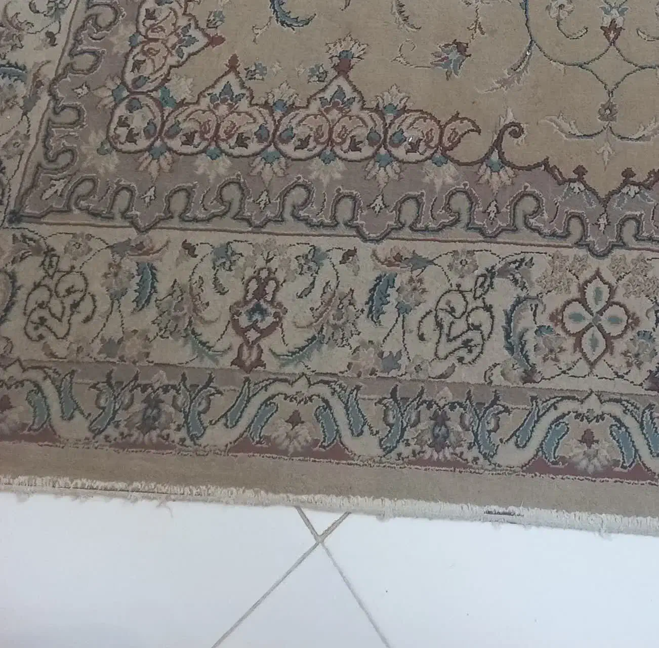 فرش ۶متری  ۵۰۰شانه|فرش|همدان, |دیوار