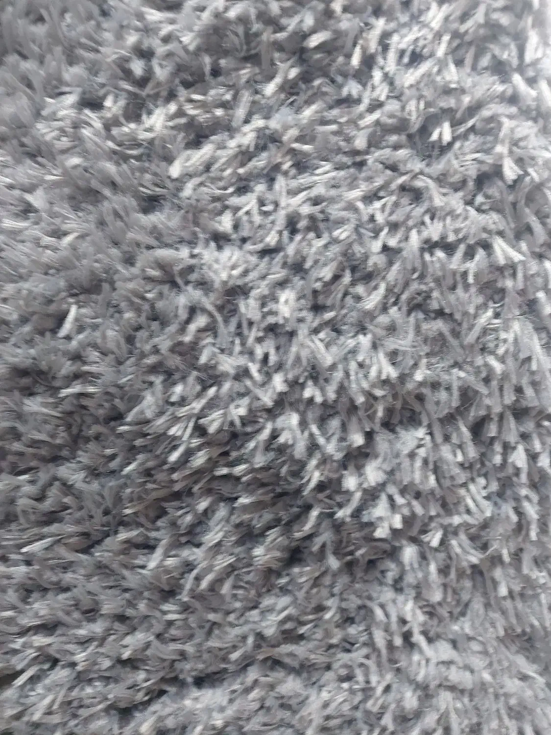 قالیچه ریش ریش دار|فرش|ساری, |دیوار