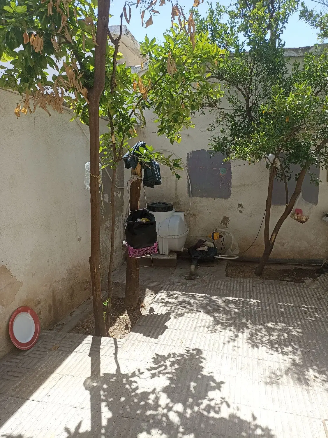 تصویر 6