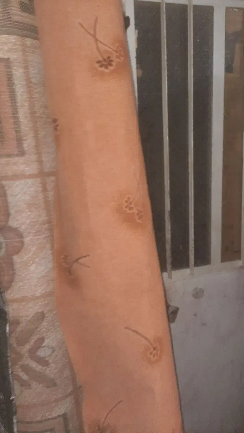 شهر موکت سراوان|موکت|سراوان, |دیوار