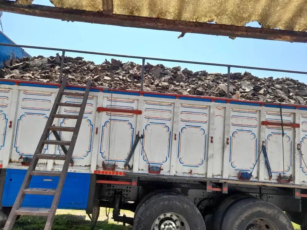 مرغ کودمرغی|خدمات باغبانی و درختکاری|تفتان, |دیوار