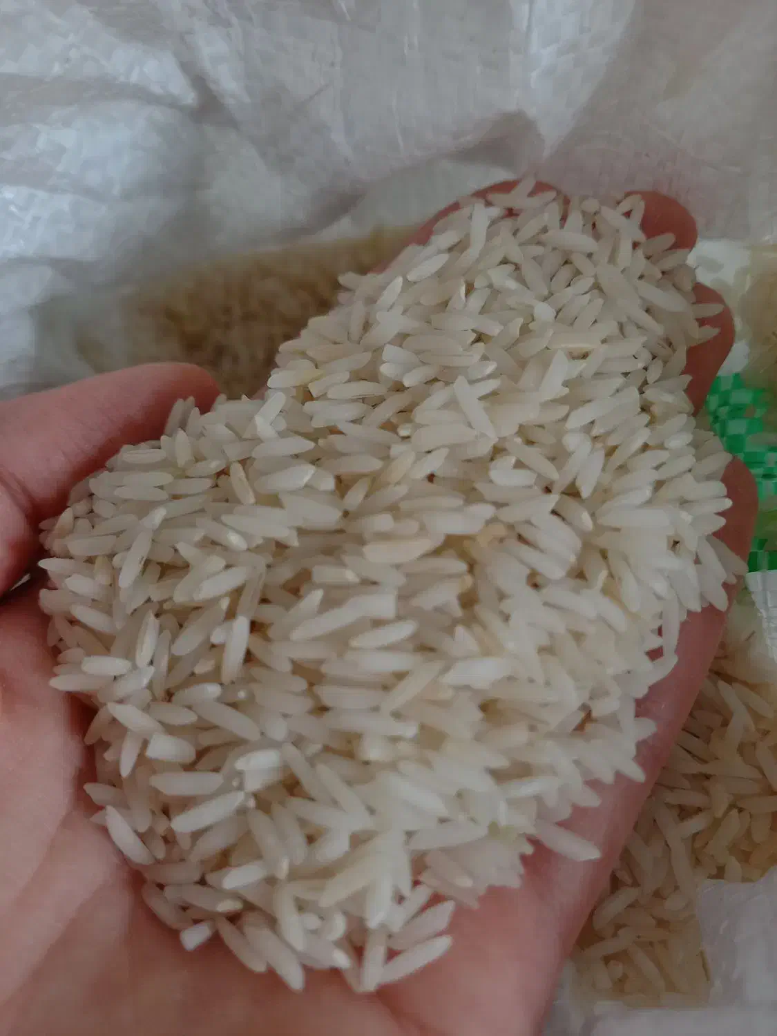 برنج طارم|خوردنی و آشامیدنی|رشت, دیانتی|دیوار