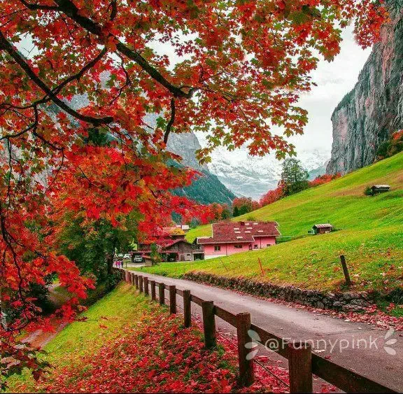 آپارتمان ۱۱۰ متری همکف مجتمع نرگس|اجارهٔ آپارتمان|خمینیشهر, |دیوار