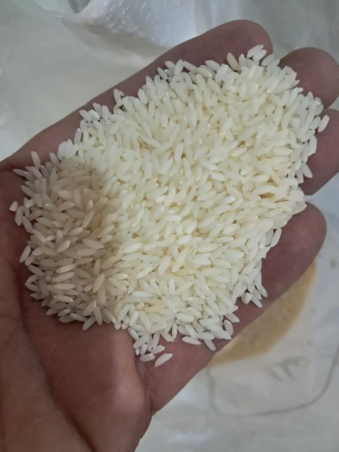 فروش انواع برنج عنبربو درجه یک|خوردنی و آشامیدنی|مشهد, بهشت|دیوار