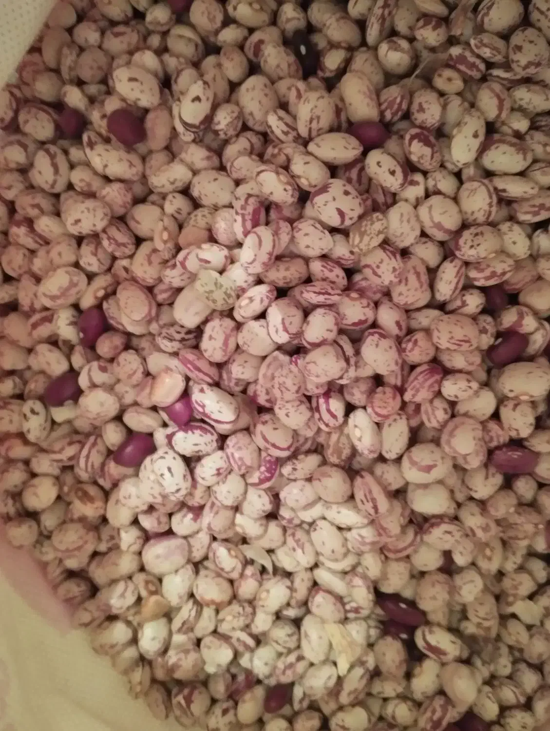 ****|خوردنی و آشامیدنی|قلقل رود, |دیوار