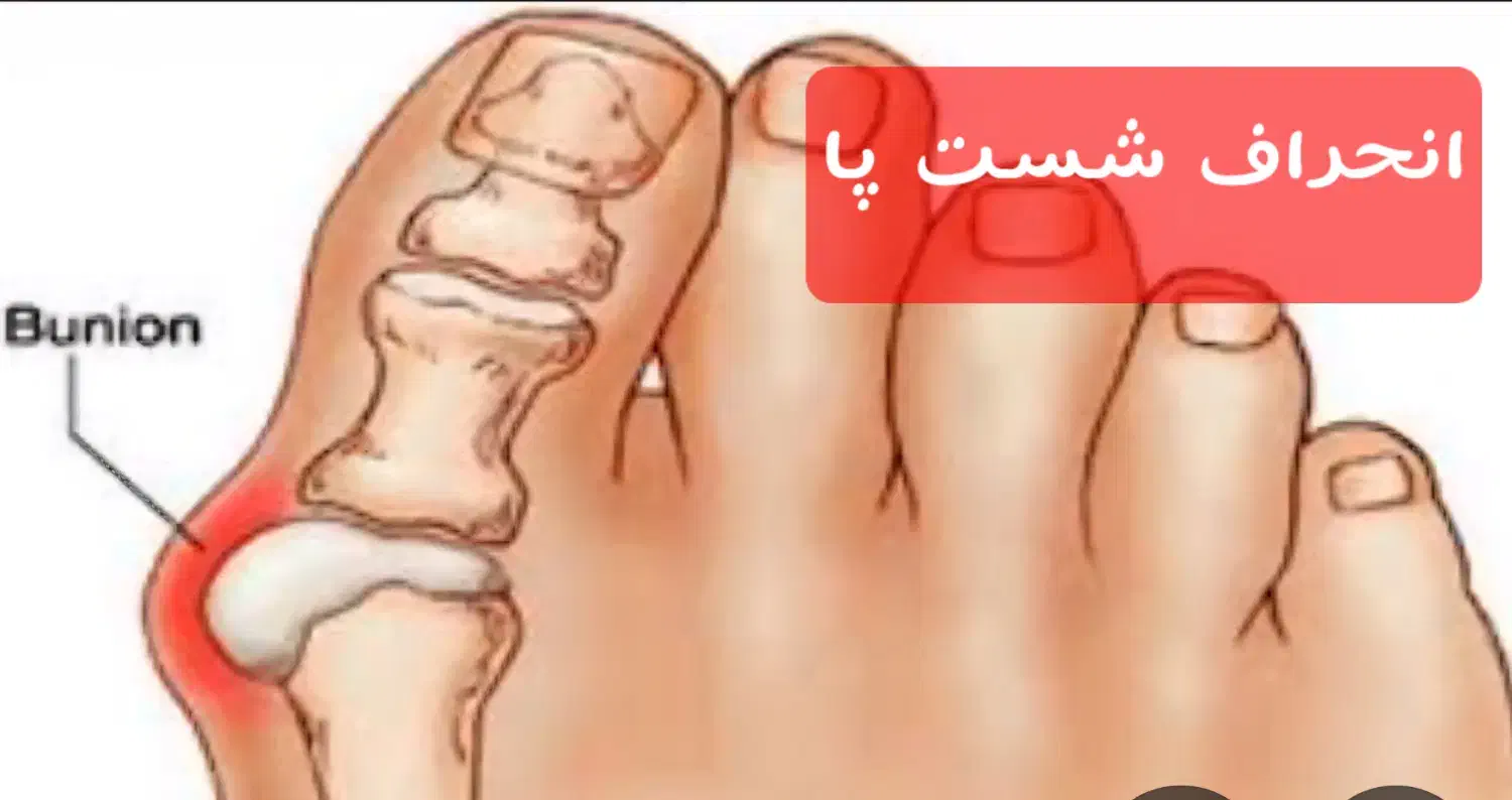 تجهیزات پزشکی سارگل|پزشکی|شیراز, قالیشویی|دیوار