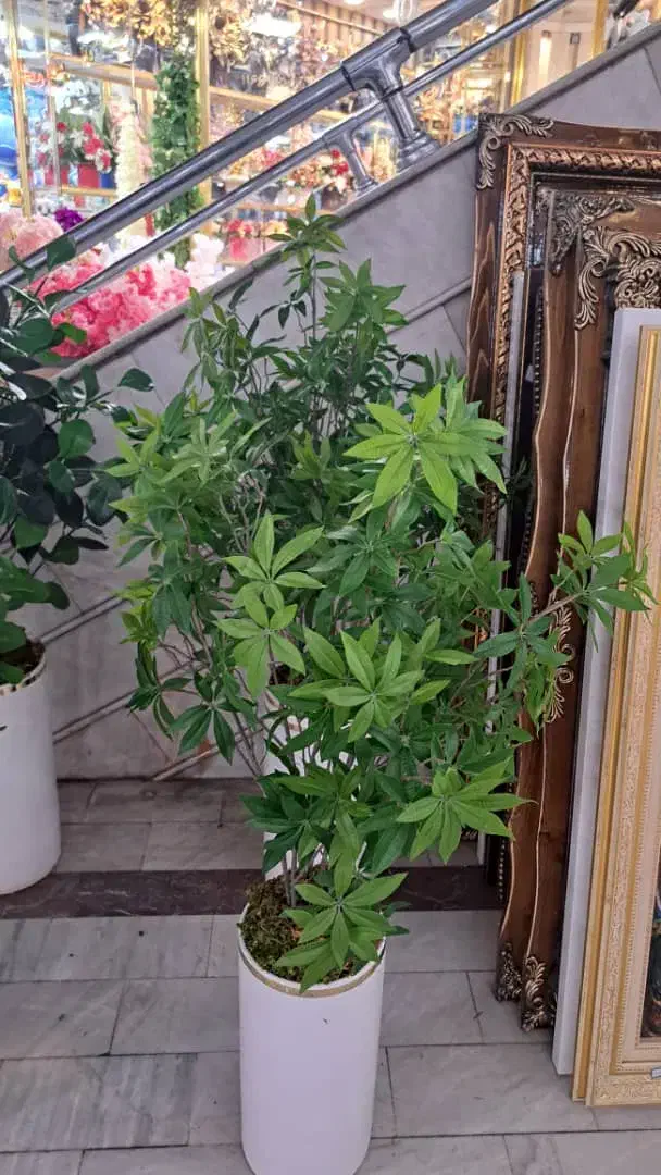 درختچه مصنوعی|گل مصنوعی|تبریز, |دیوار