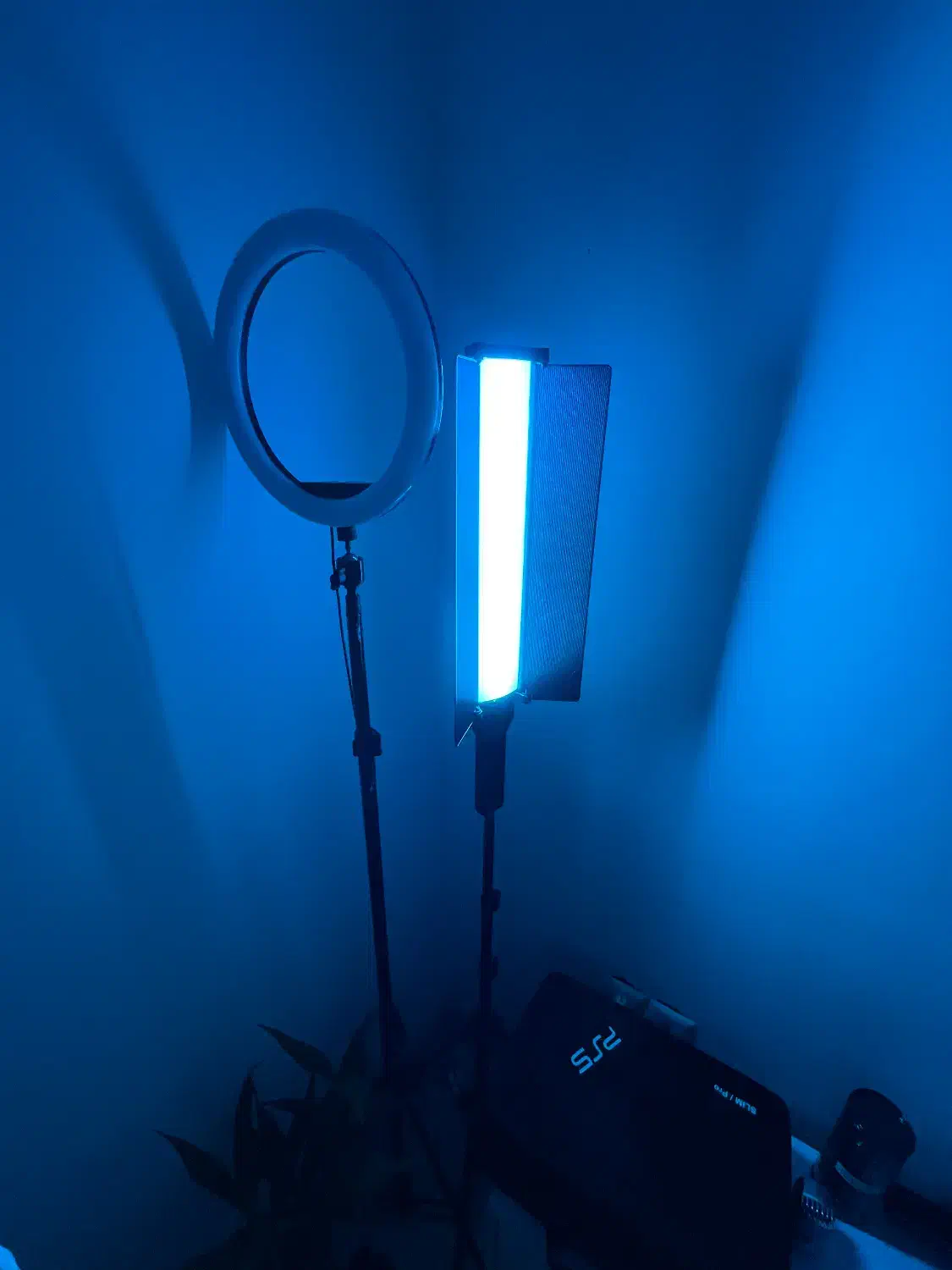 لایت خطی و رینگ لایت برای تولید محتوا|دوربین عکاسی و فیلم‌برداری|لنگرود, |دیوار