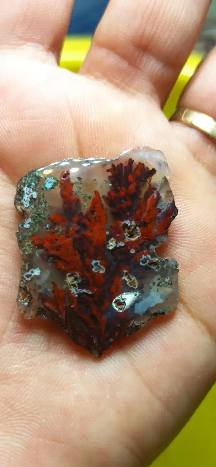 سنگ شجر|جواهرات|سرایان, |دیوار