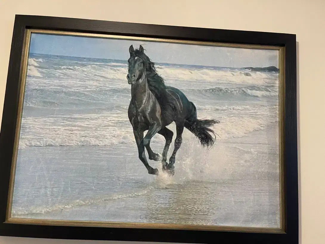 تابلو فرش اسب سیاه دونده درساحل بدون قاب یک در ۷۰|تابلو فرش|شهرکرد, |دیوار