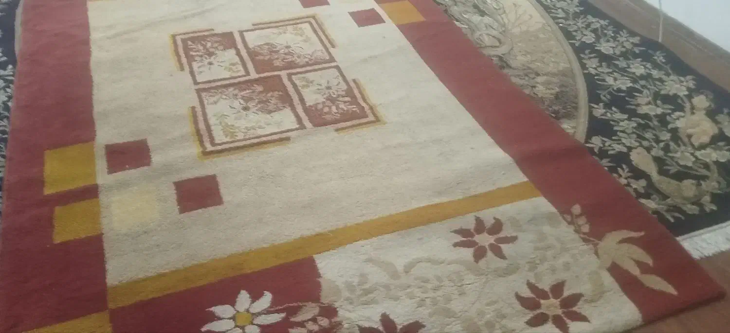 قالیچه|پادری|مشهد, تربیت (صدف)|دیوار