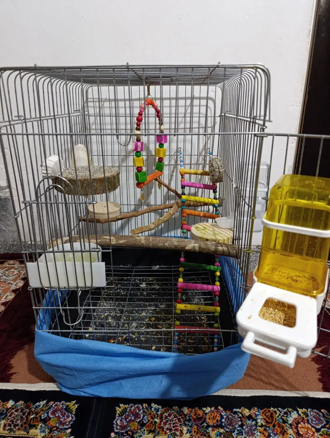 قفس سالم|لوازم جانبی حیوانات|همدان, |دیوار