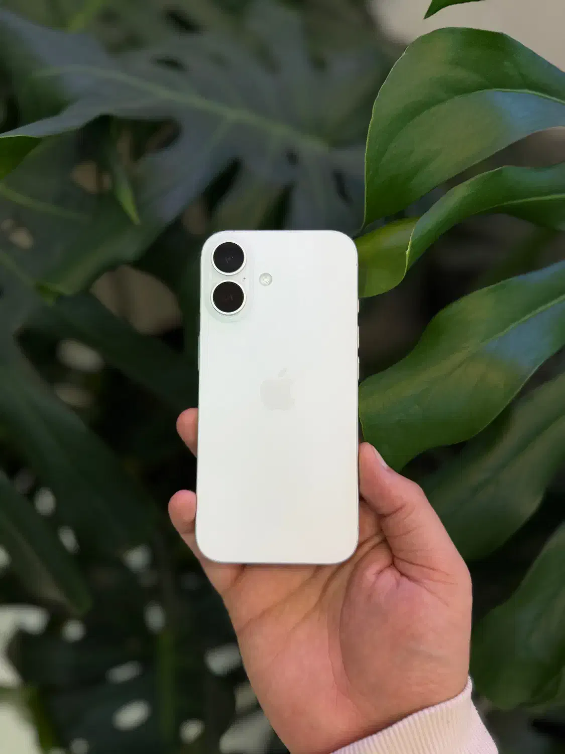 ایفون ۱۶ نرمال ۱۲۸ گیگ دوسیم|موبایل|مشهد, چهارچشمه|دیوار