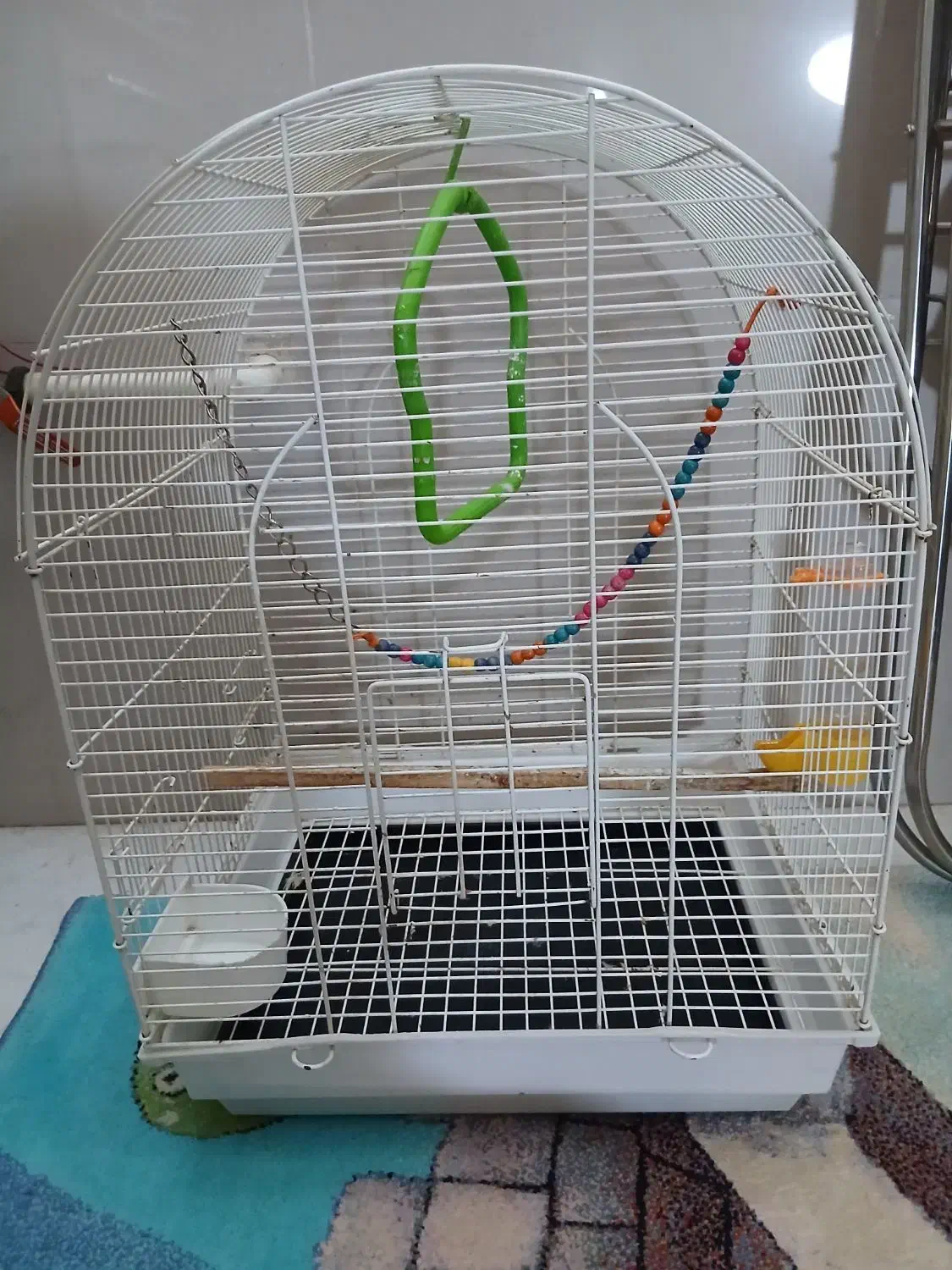 قفس|لوازم جانبی حیوانات|قم, شهدا|دیوار