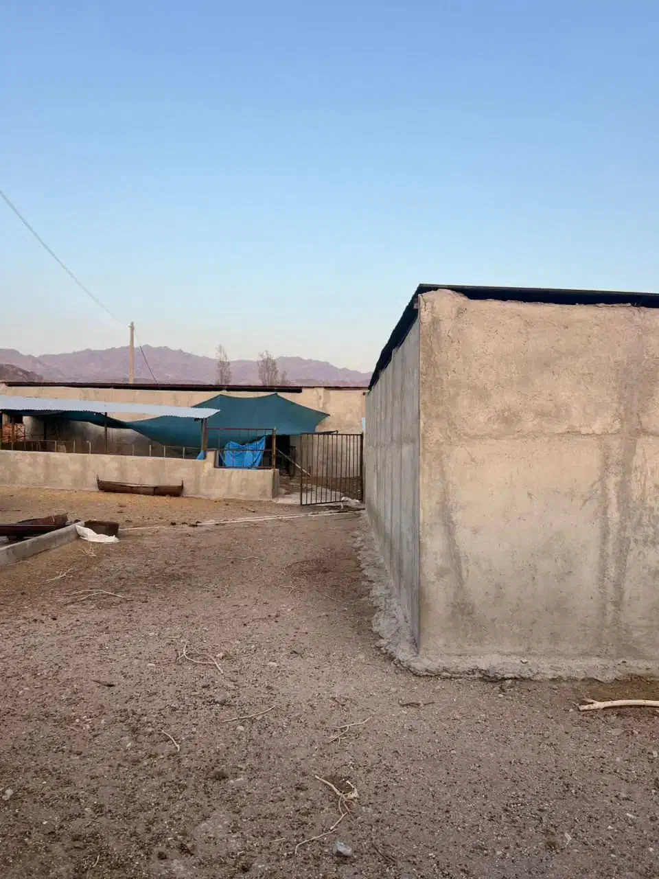 گاوداری صنعتی جیرفت|فروش دفتر صنعتی، کشاورزی، تجاری|کرمان, |دیوار