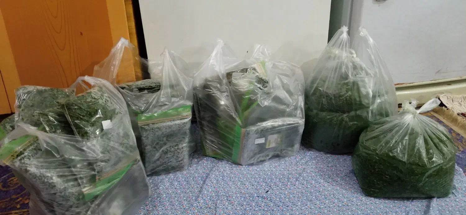 سبزیجات قرمه کوکو اش تمیزاورگانیک عطری متفاوت طعمی|خوردنی و آشامیدنی|سبزوار, پاسداران|دیوار