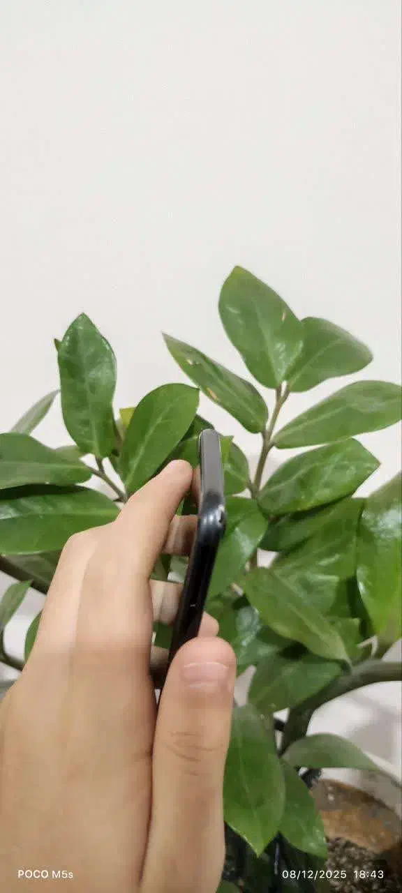 آیفون ۷|موبایل|تهران, تهرانسر شرقی|دیوار