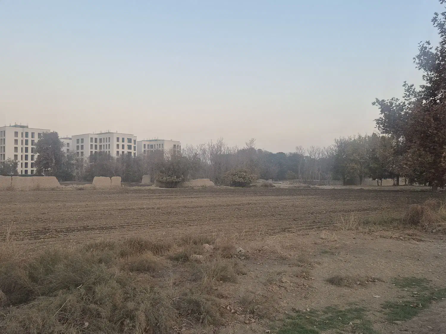 ۱۹۰۰۰ هزار متر زمین سنددار چهاردانگه گلشهر|فروش زمین و ملک کلنگی|چهاردانگه (تهران), |دیوار