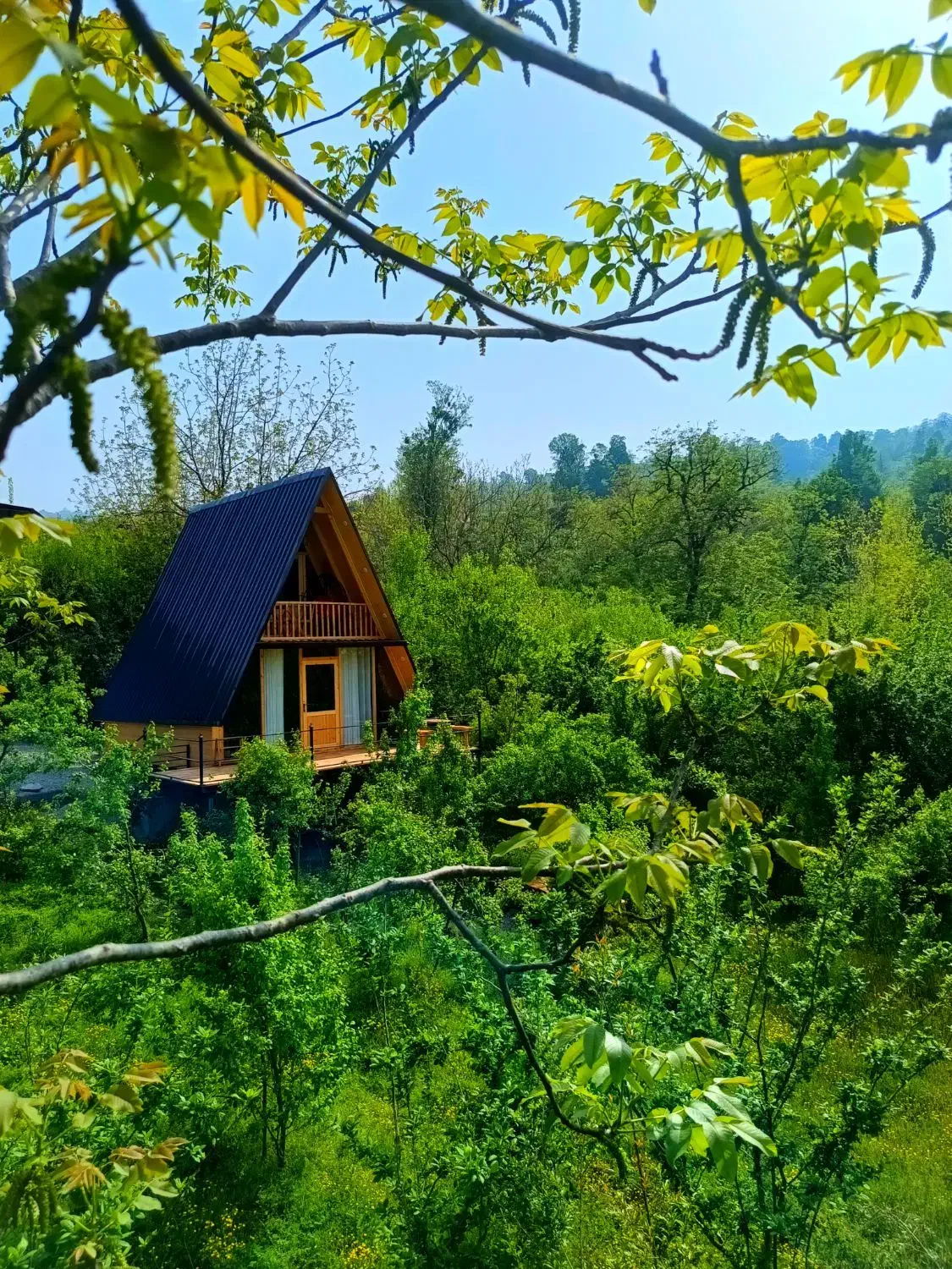 اجاره روزانه کلبه سوئیسی و سنتی|اجارهٔ خانه و ویلا|مرزیکلا, |دیوار