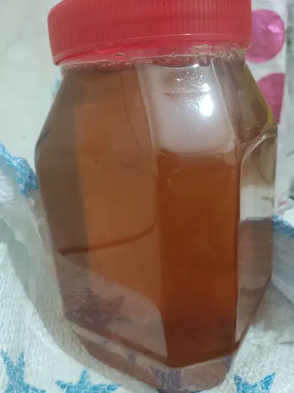 عسل کندو درجه یک بدون شکر|خوردنی و آشامیدنی|باشت, |دیوار