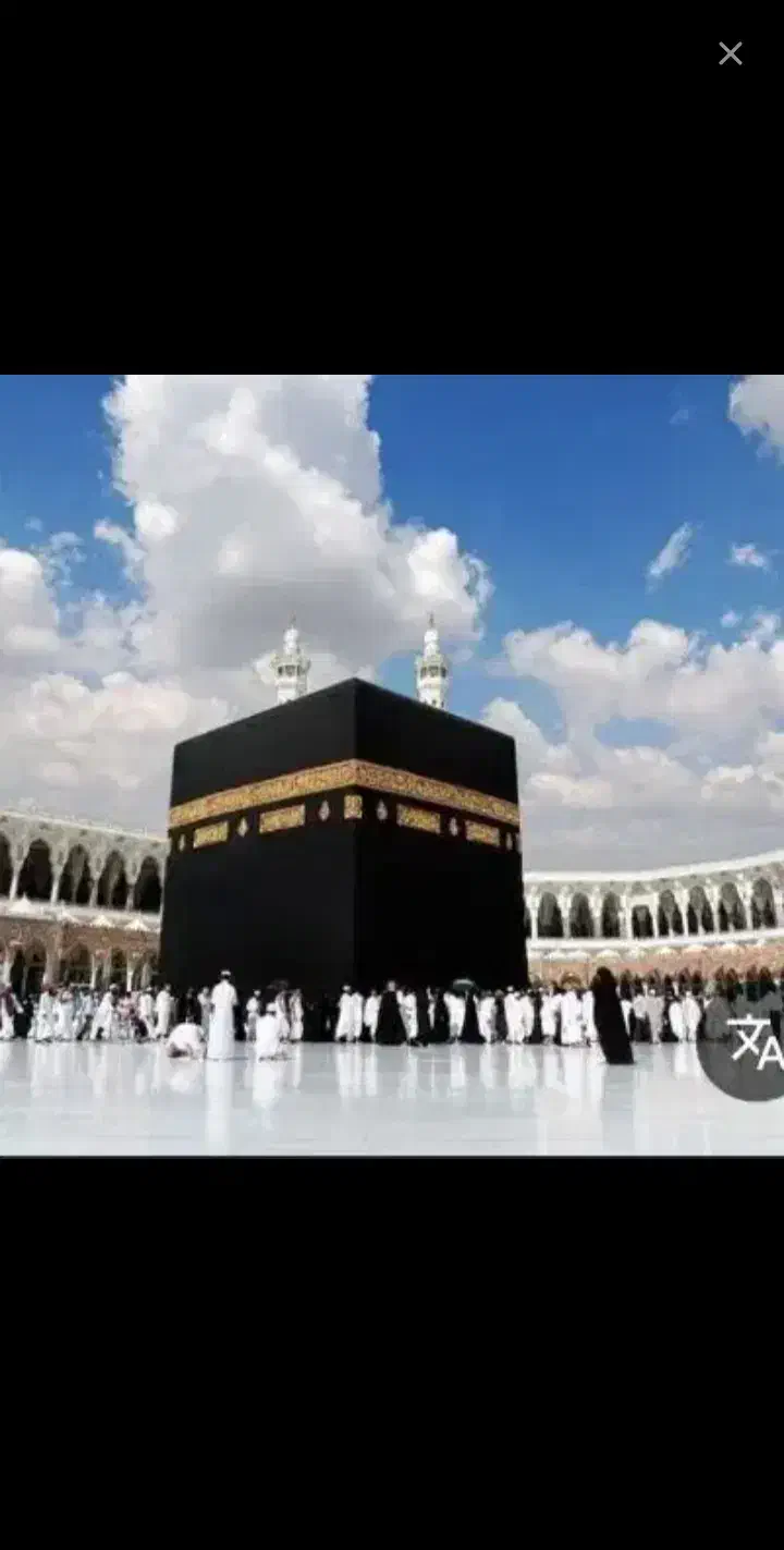 فروش فیش حج تمتع|تور و چارتر|محلات, |دیوار