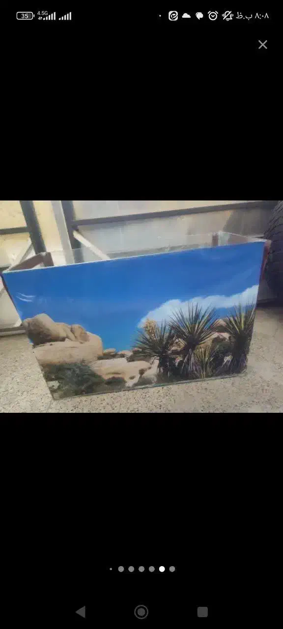 اکواریوم تعویض با دوتا گوپی، فایتر ، سنگ اکواریوم|ماهی|یزد, |دیوار