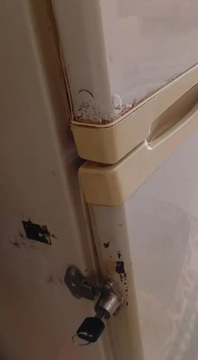 یخچال|یخچال و فریزر|بم, |دیوار