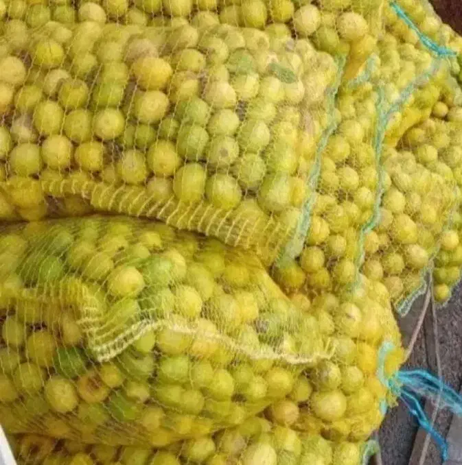 آبلیمو خونگی عمده|خوردنی و آشامیدنی|شیراز, سرو|دیوار