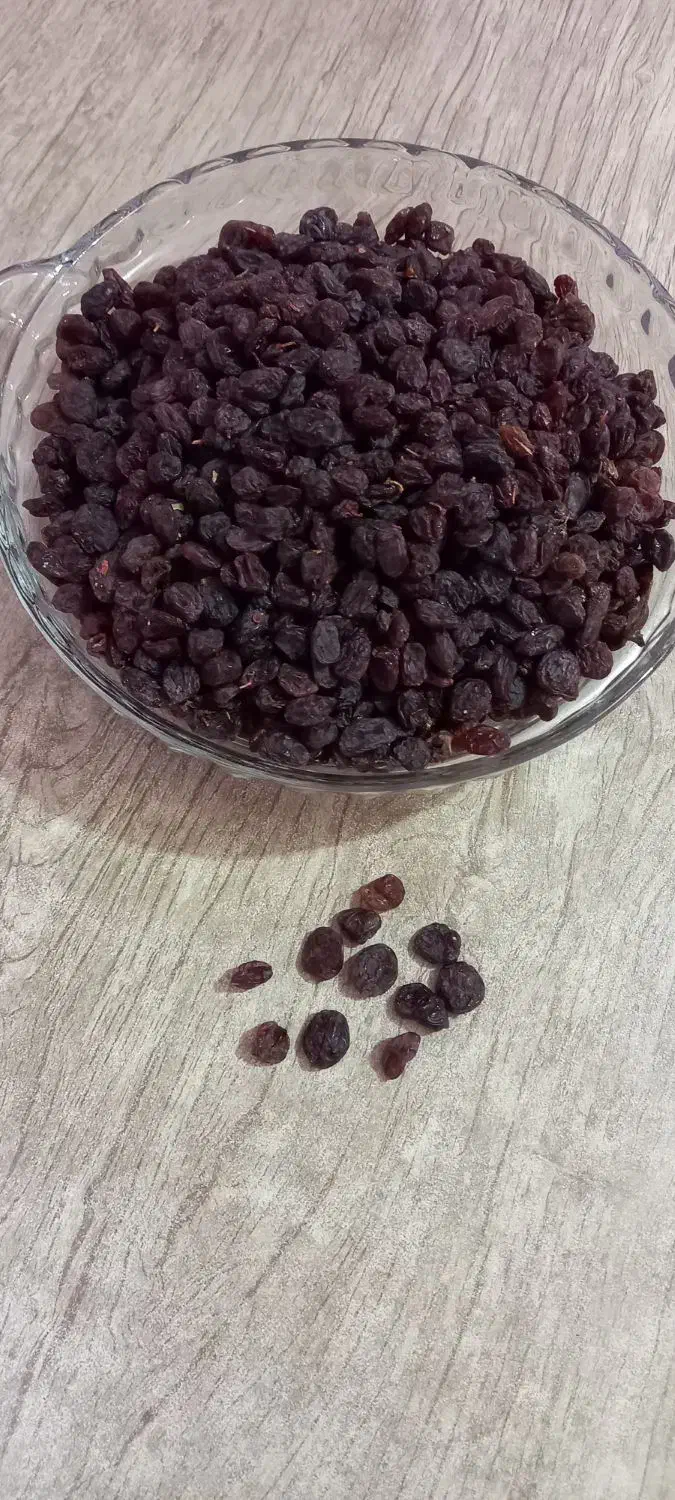 کشمش پلویی|خوردنی و آشامیدنی|رودسر, |دیوار