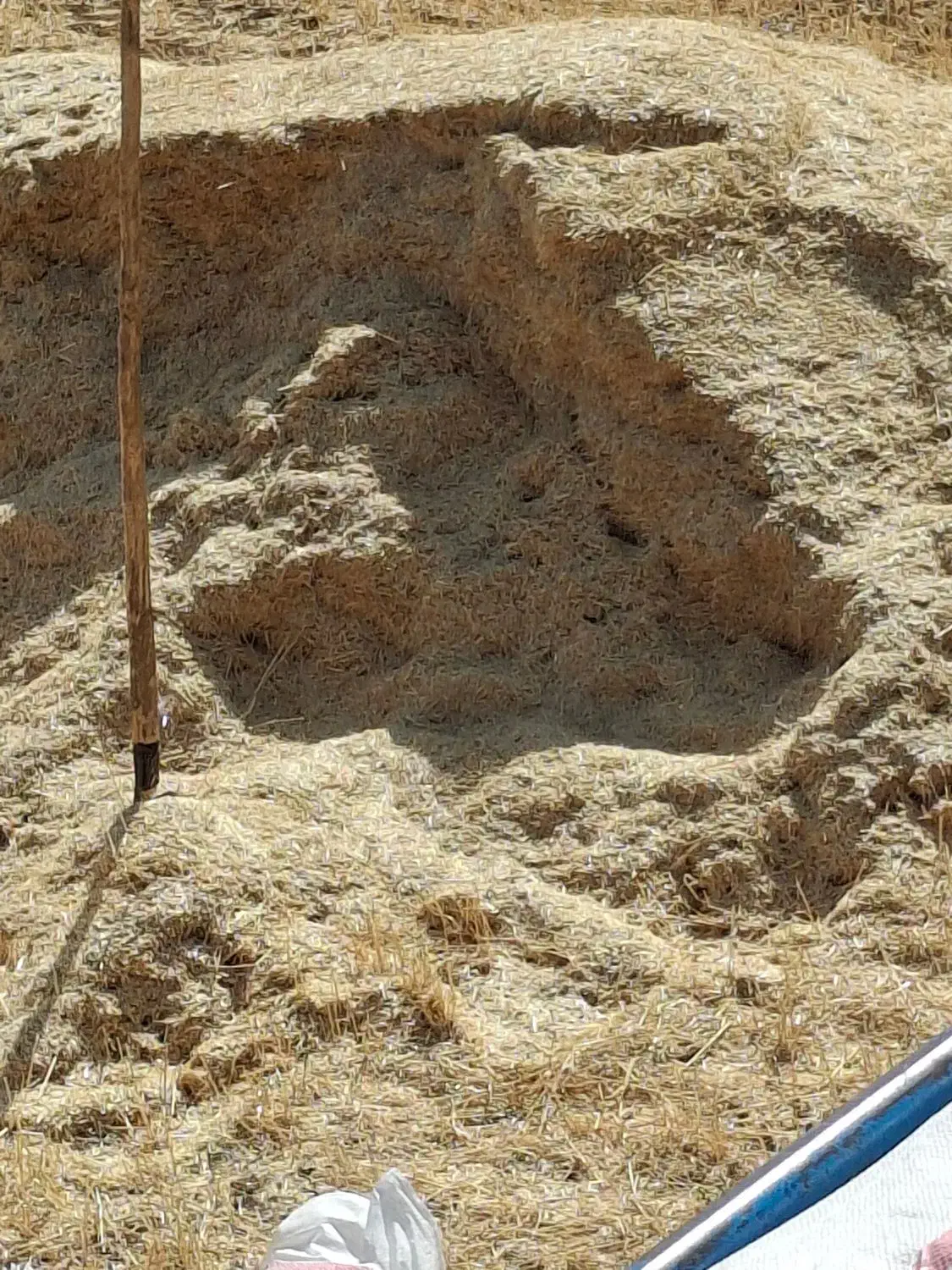 کاه نیشکر|خدمات باغبانی و درختکاری|کاشان, باغ فین|دیوار