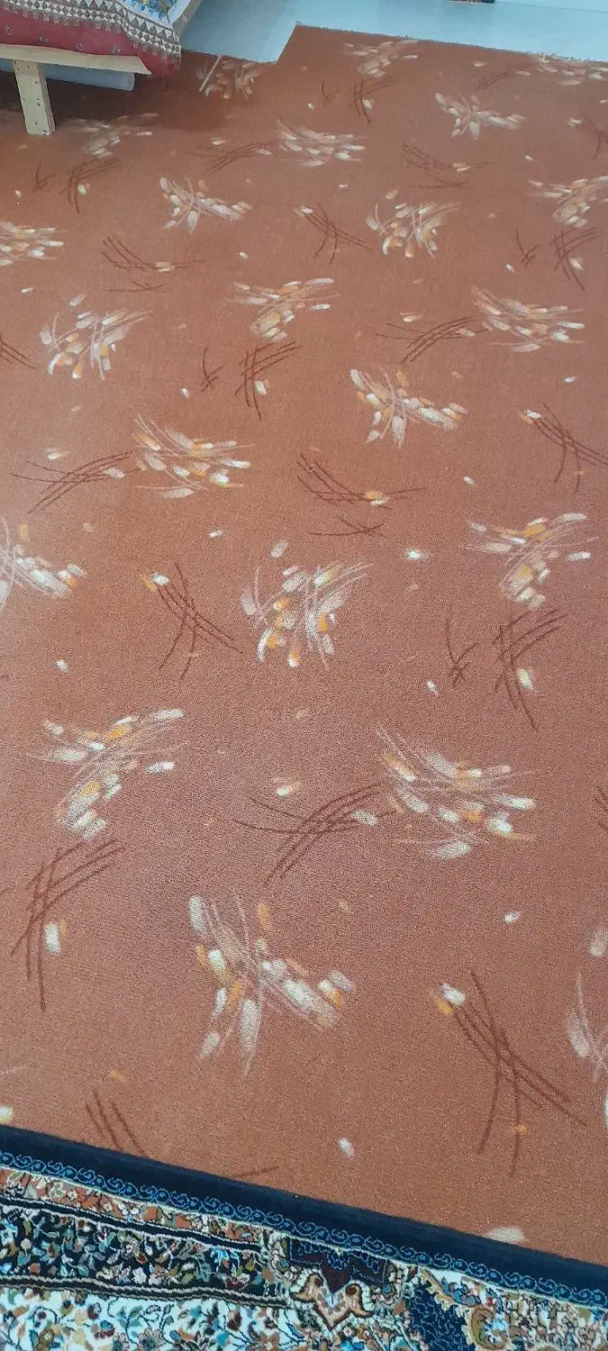 مقداری گلیم وکناره وموکت|گلیم، جاجیم، گبه|ایلام, |دیوار