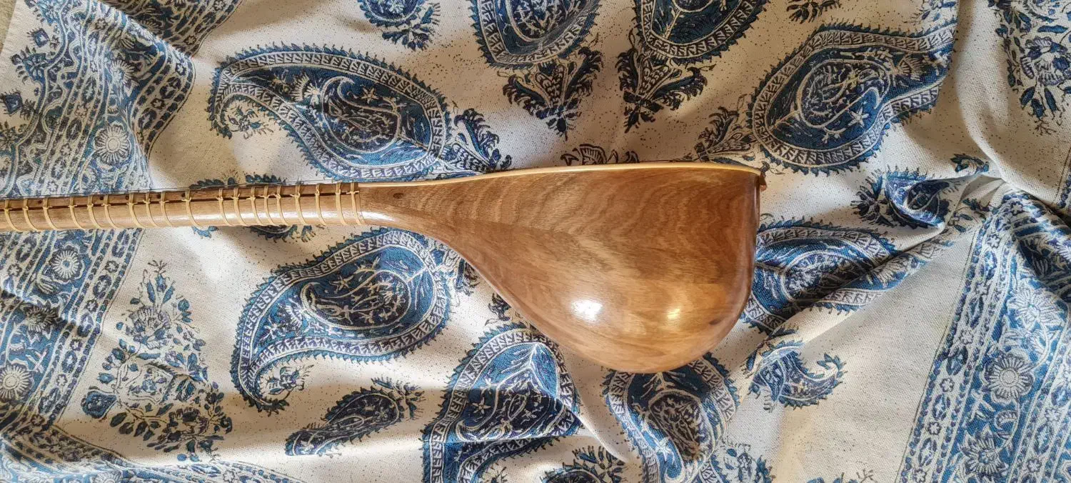 سه‌تار استاد پژمان همراه هاردکیس و هدیه|سازهای سنتی|اصفهان, ملک‌شهر|دیوار