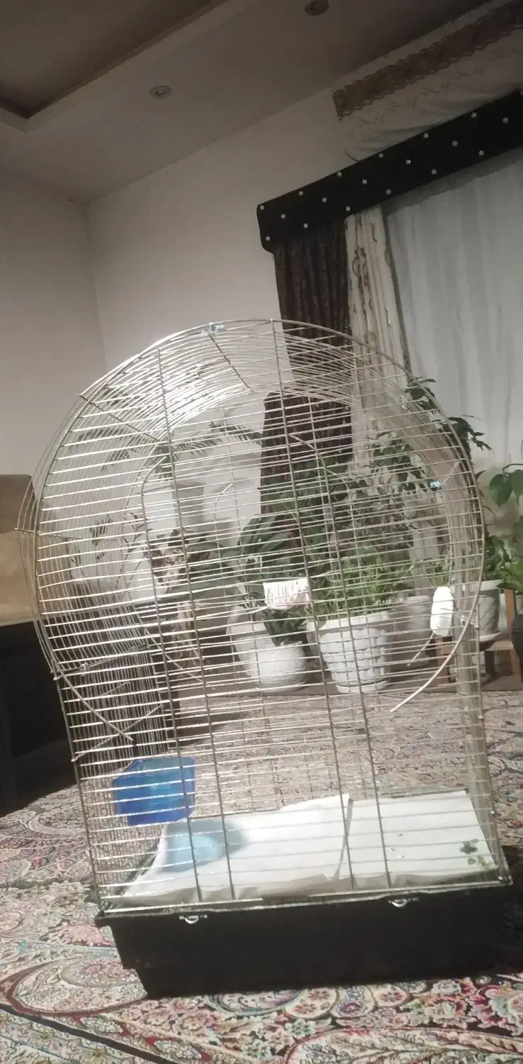 قفس پرنده|لوازم جانبی حیوانات|سرخرود, |دیوار