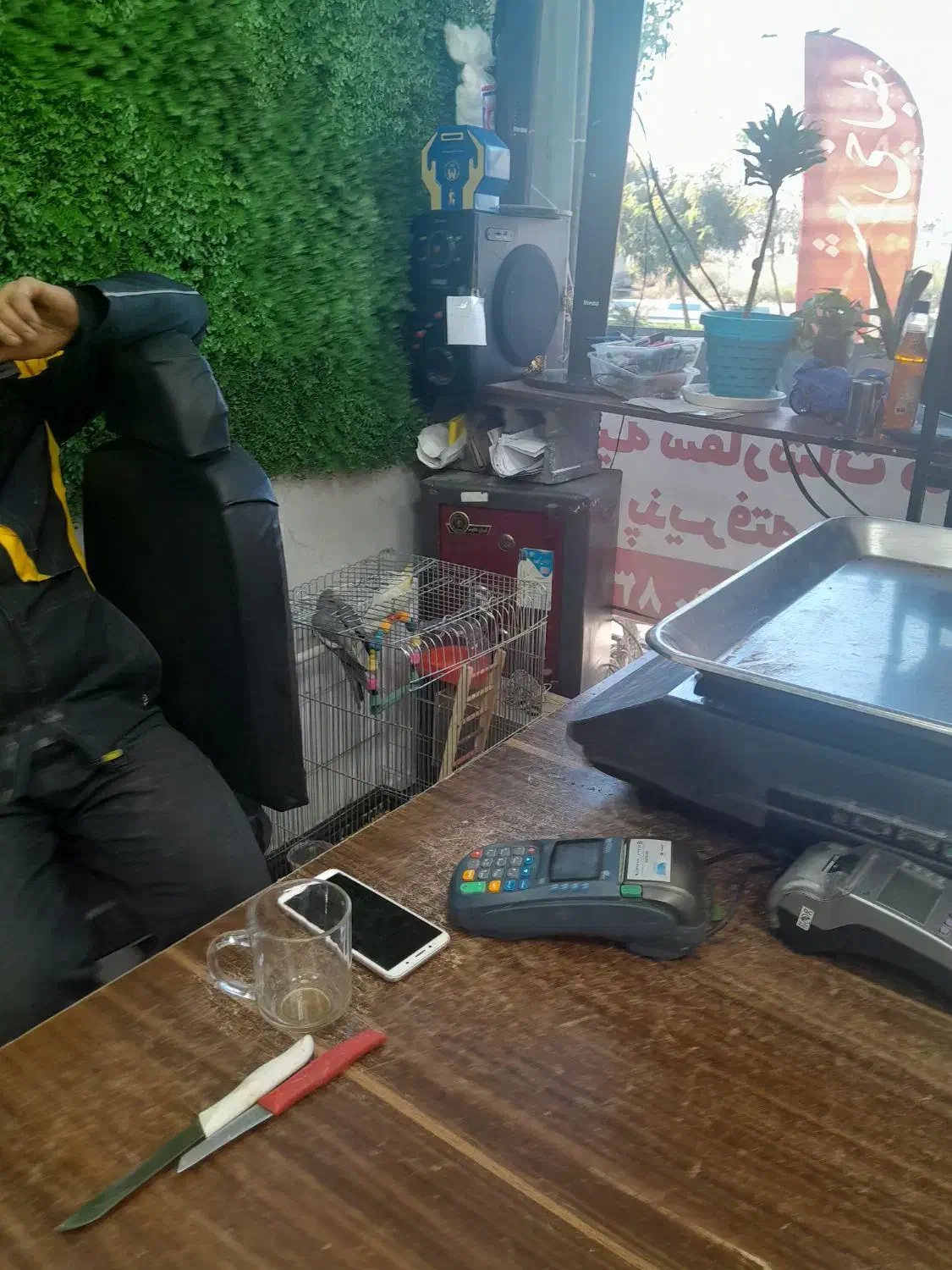 میوه|عمدهفروشی|شهریار, شهرک شاهد|دیوار