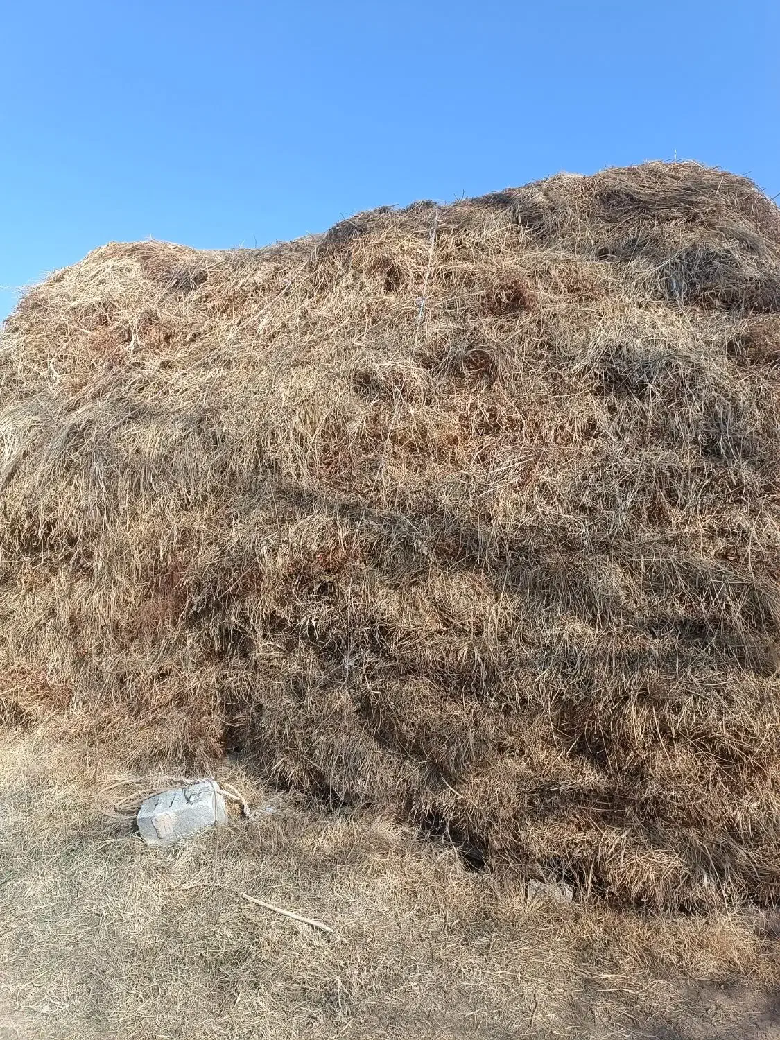 علف|لوازم جانبی حیوانات|ایواوغلی, |دیوار