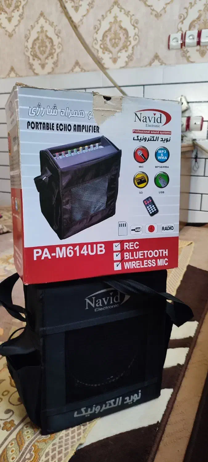 فروش یک دستگاه اکو همراه بیسیم|صوتی و تصویری|دزفول, |دیوار