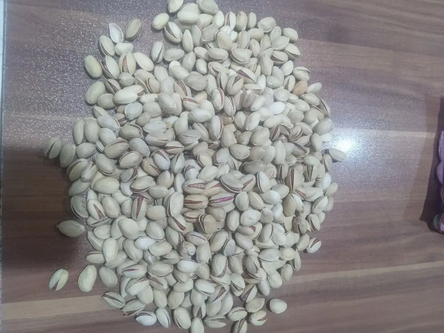 فروش پسته تازه کلی جزئی|عمدهفروشی|قم, نوبهار|دیوار