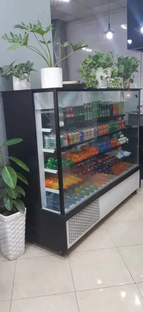 دو عدد یخچال فریزر ، کباب پز و تنور گلی گازی|یخچال و فریزر|بیرجند, |دیوار