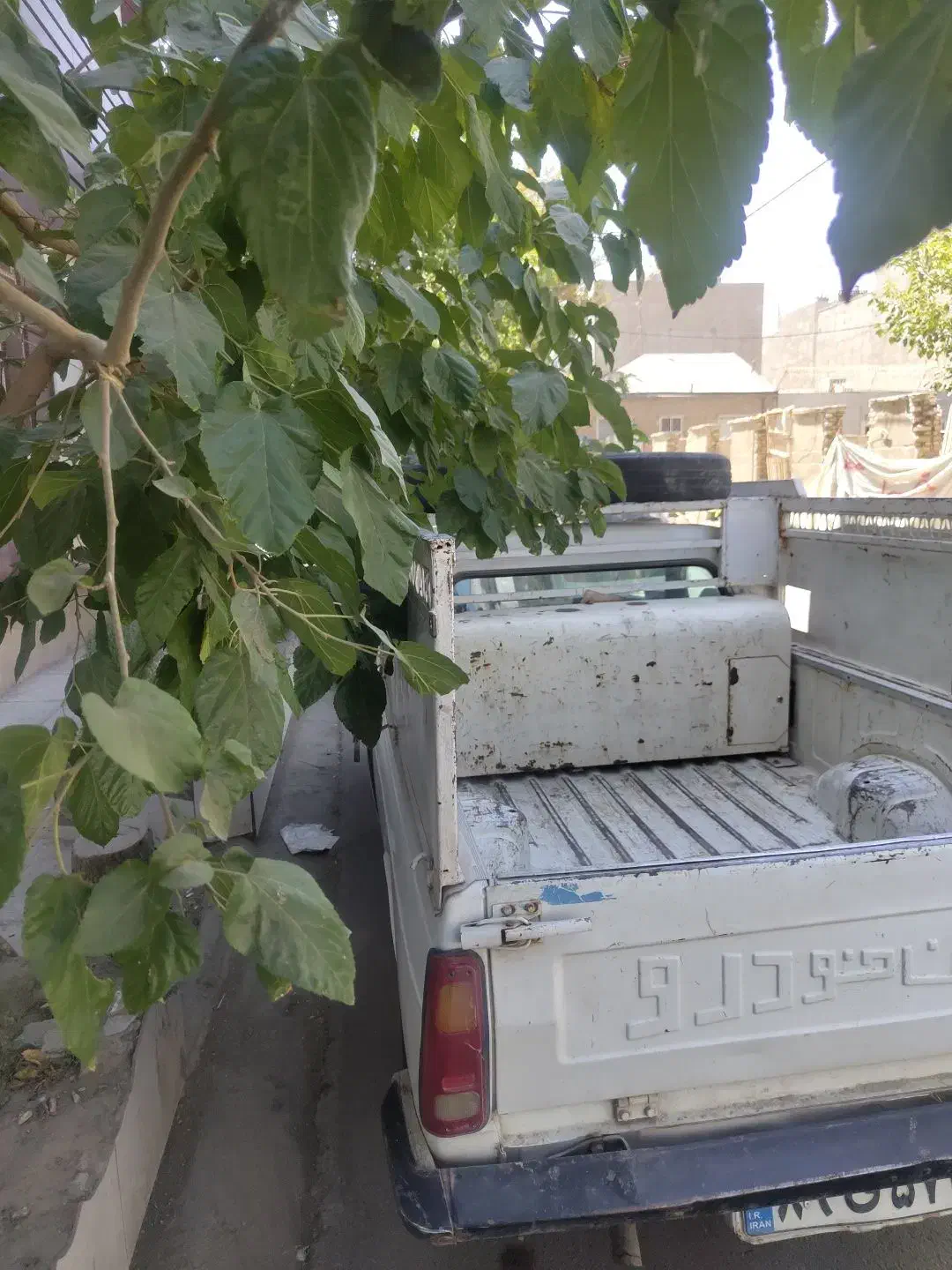 وانت بار|خدمات حمل و نقل|نیشابور, پنجراه|دیوار