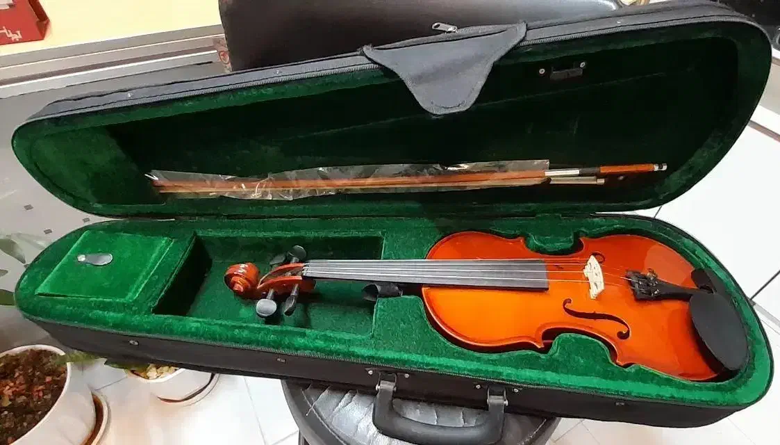 ویلون 3/4 اماتی ۱۰۰ درحد آک amati 100|ویولن|اصفهان, نقش جهان|دیوار