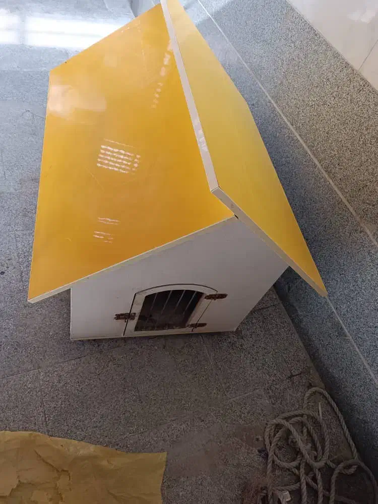 یک عدد سگ پا کوتاه|سگ|صباشهر, |دیوار