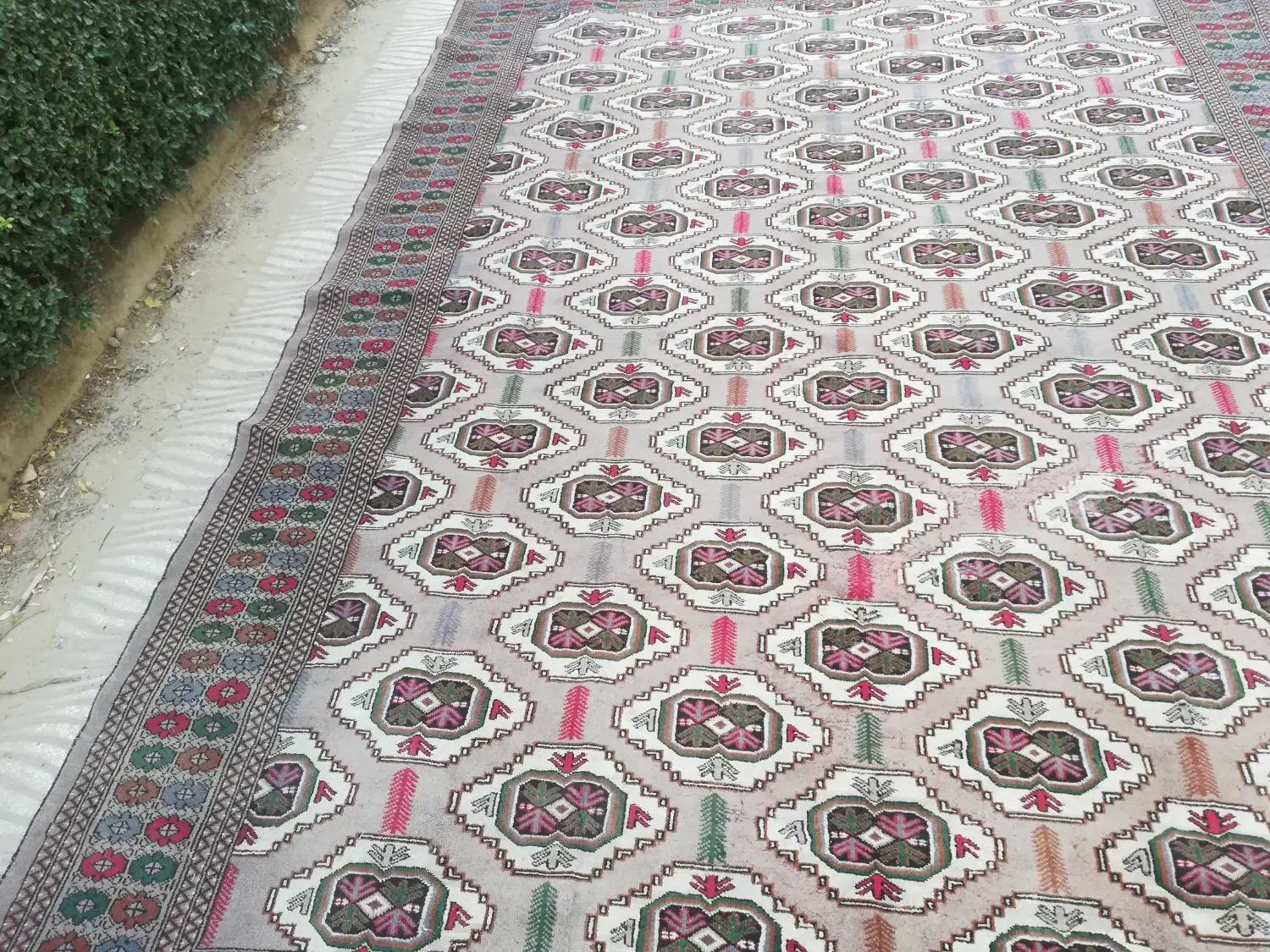 فرش 12 متری ترکمن|فرش|شاهرود, |دیوار