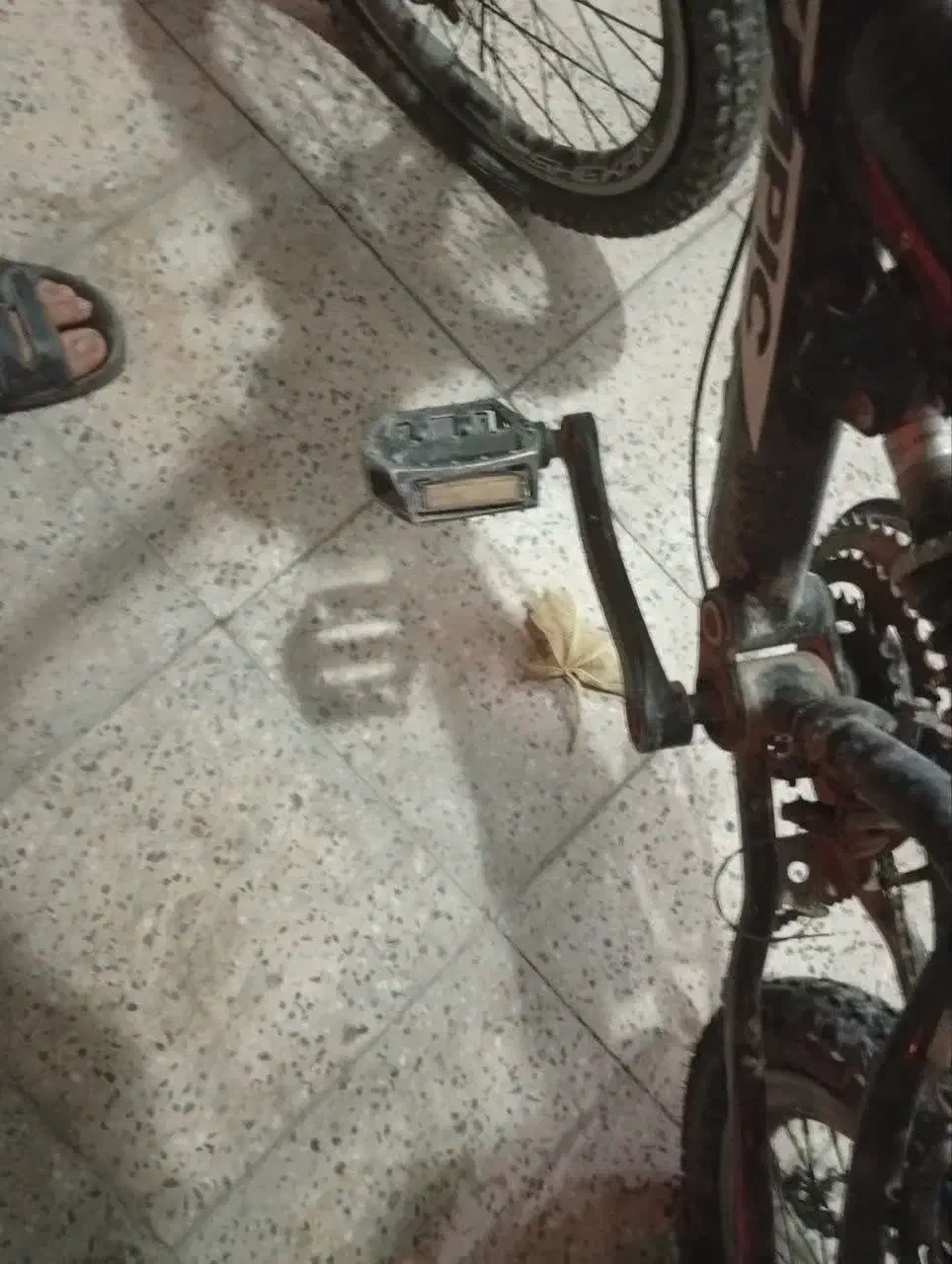 دوچرخه 24تنه آهن عالی|دوچرخه، اسکیت، اسکوتر|اصفهان, ارغوانیه|دیوار