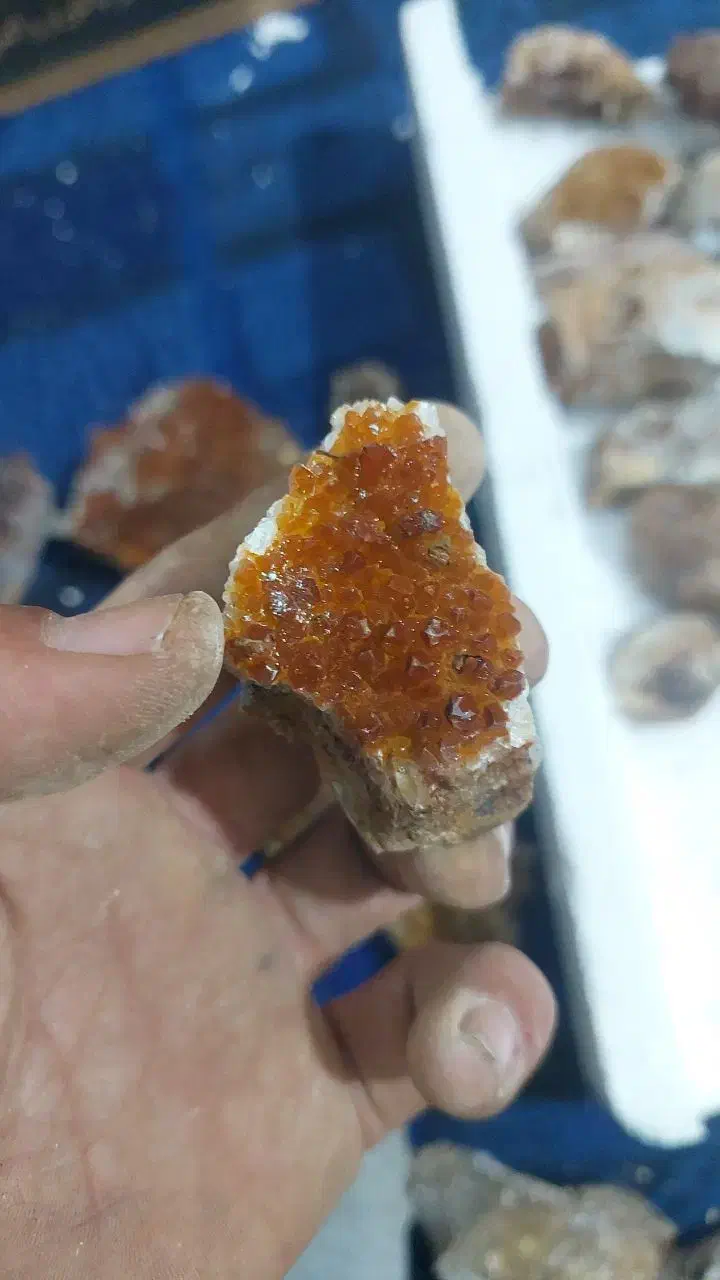 سنگ کولکسیونی|کلکسیون اشیاء عتیقه|بیرجند, |دیوار