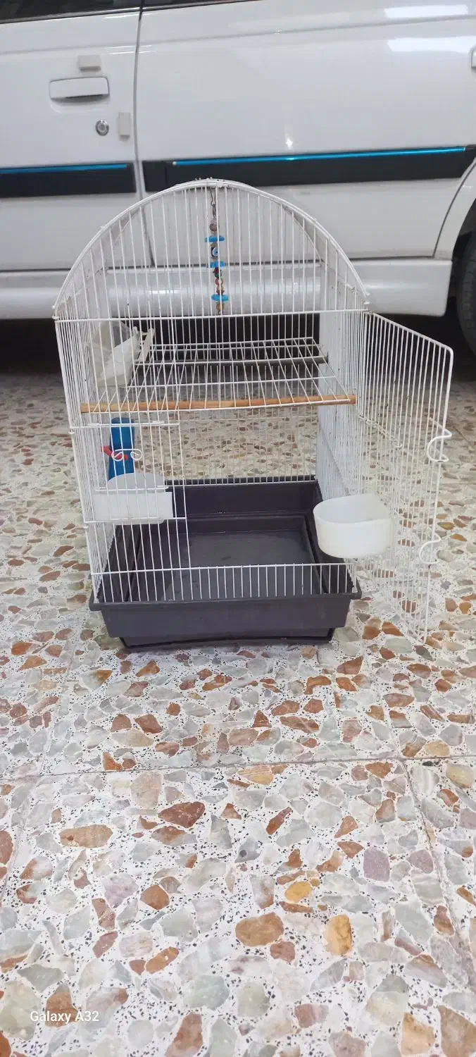 قفس درهویزه|لوازم جانبی حیوانات|سوسنگرد, |دیوار