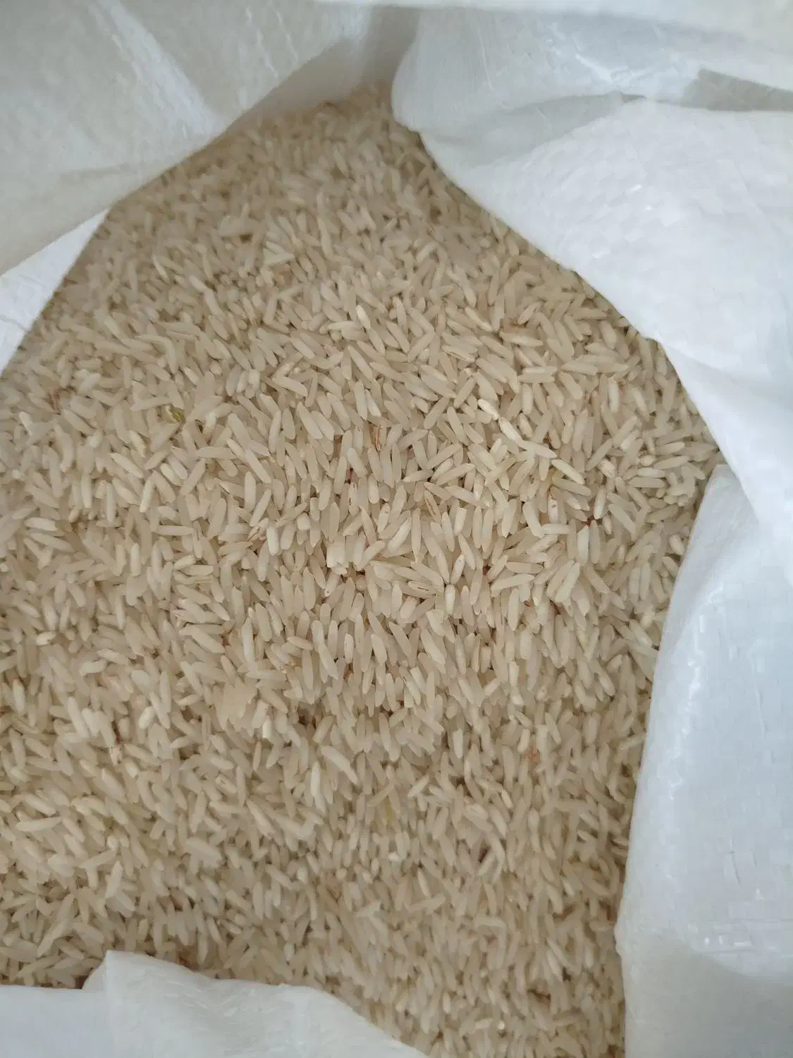 برنج سوزنی ندا|خوردنی و آشامیدنی|آق قلا, |دیوار